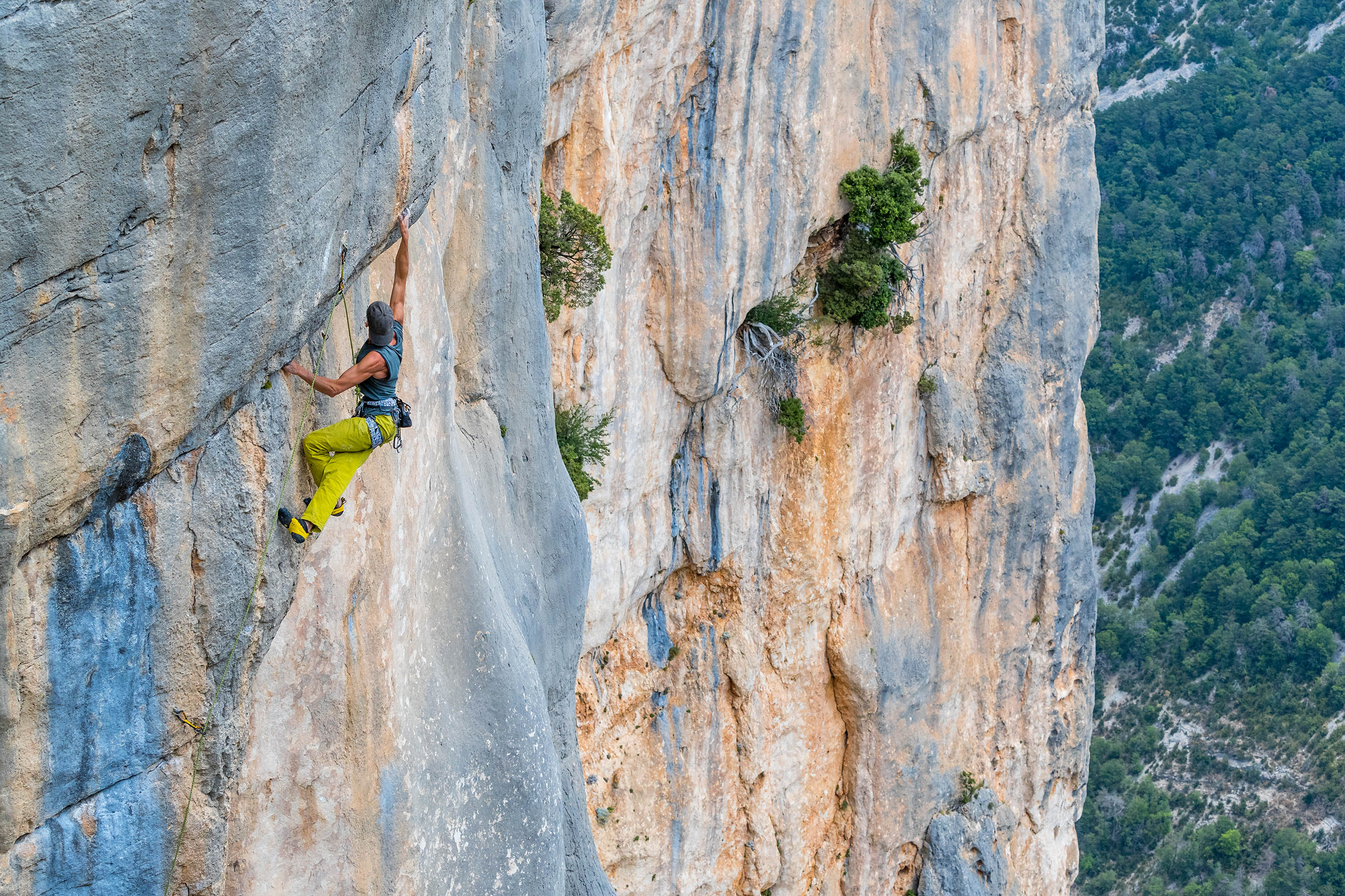 Grivel - Trend Harness