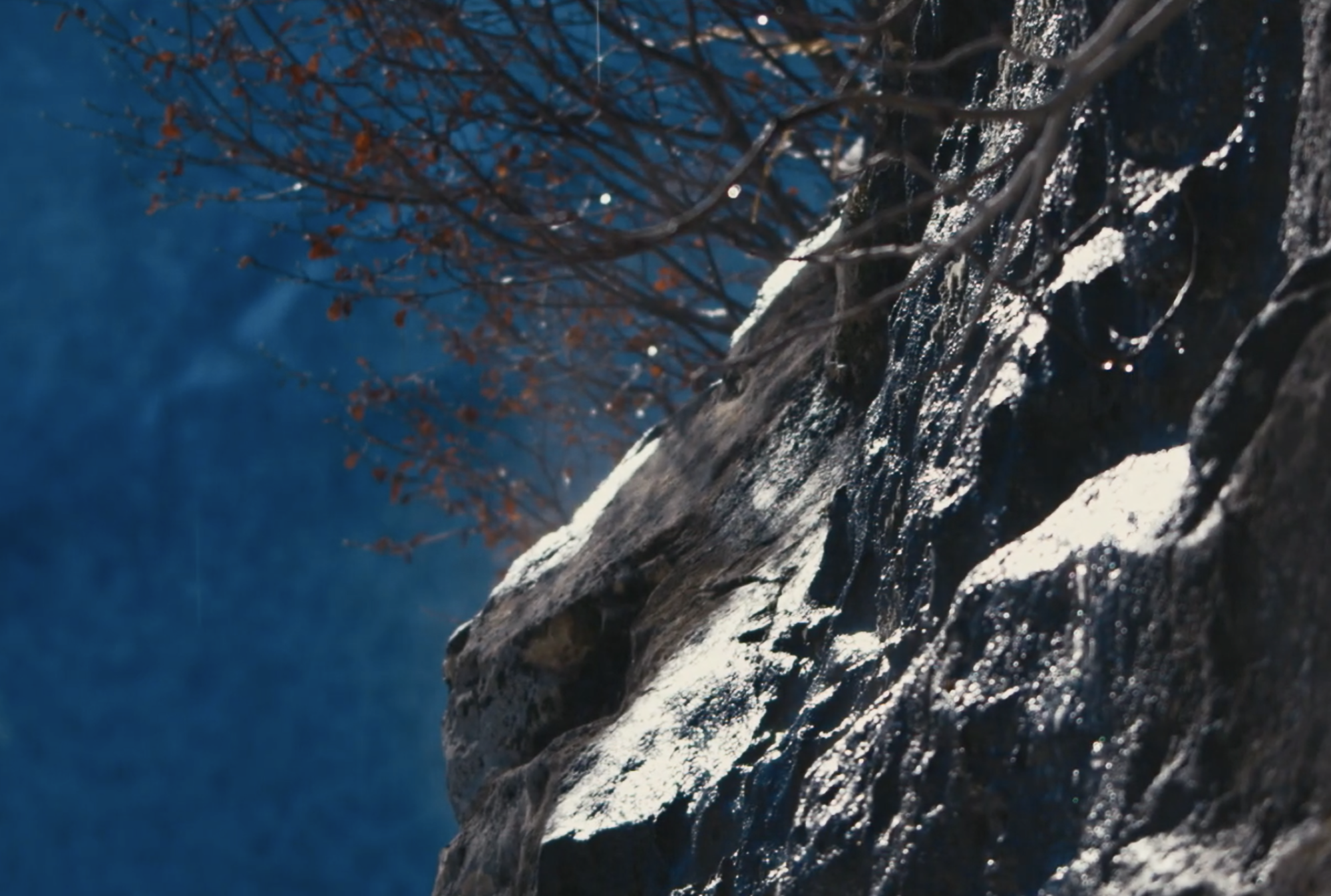 Rock face and winter trees surrounding the Lapsus climbing route in Andonno, Italy