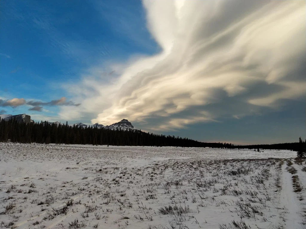 Winter landscape in the Canadian Rockies with snow, forest, and dramatic clouds.