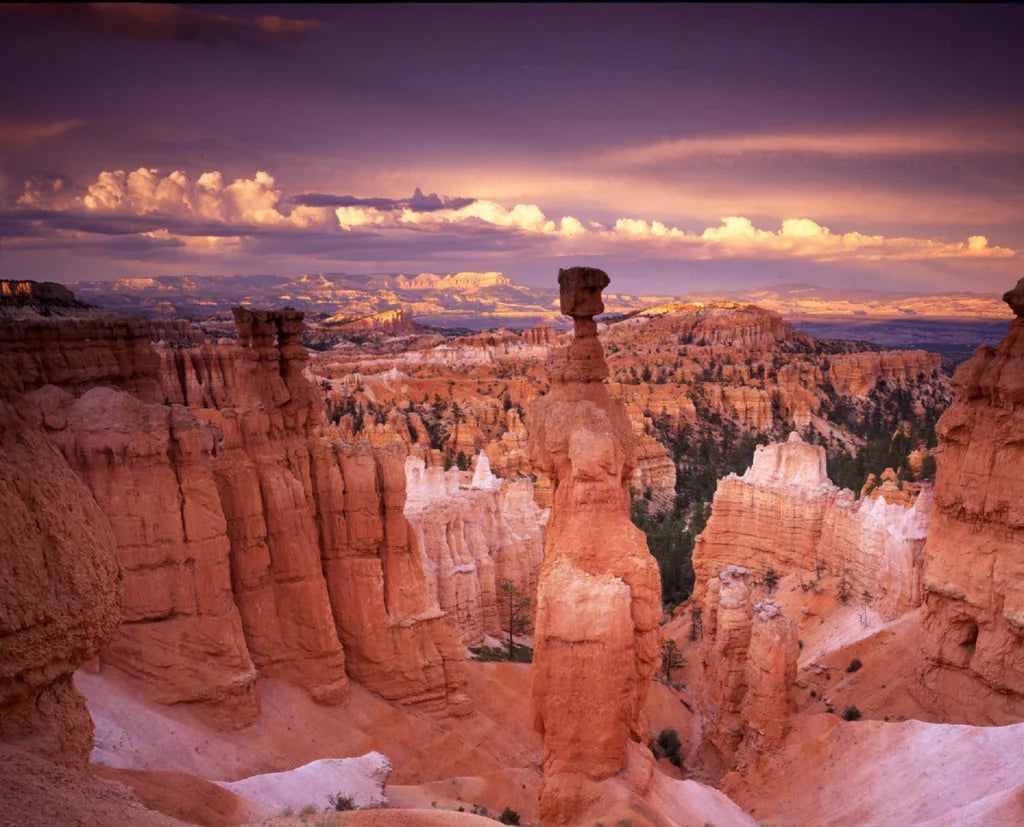 Hoodoo rock formations at sunset in Bryce Canyon National Park, Utah, USA.