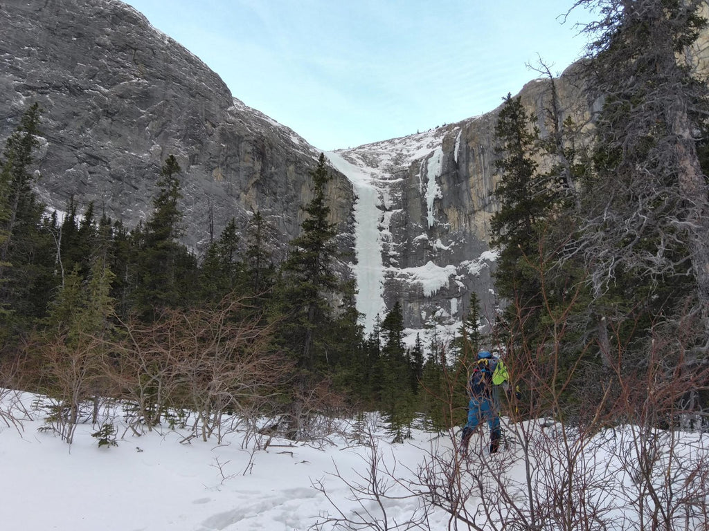 Ice climbers approaching a frozen waterfall in a snowy Canadian valley.