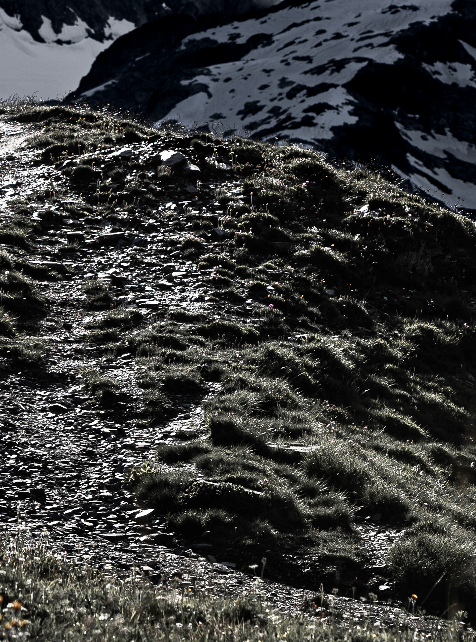 Trail running