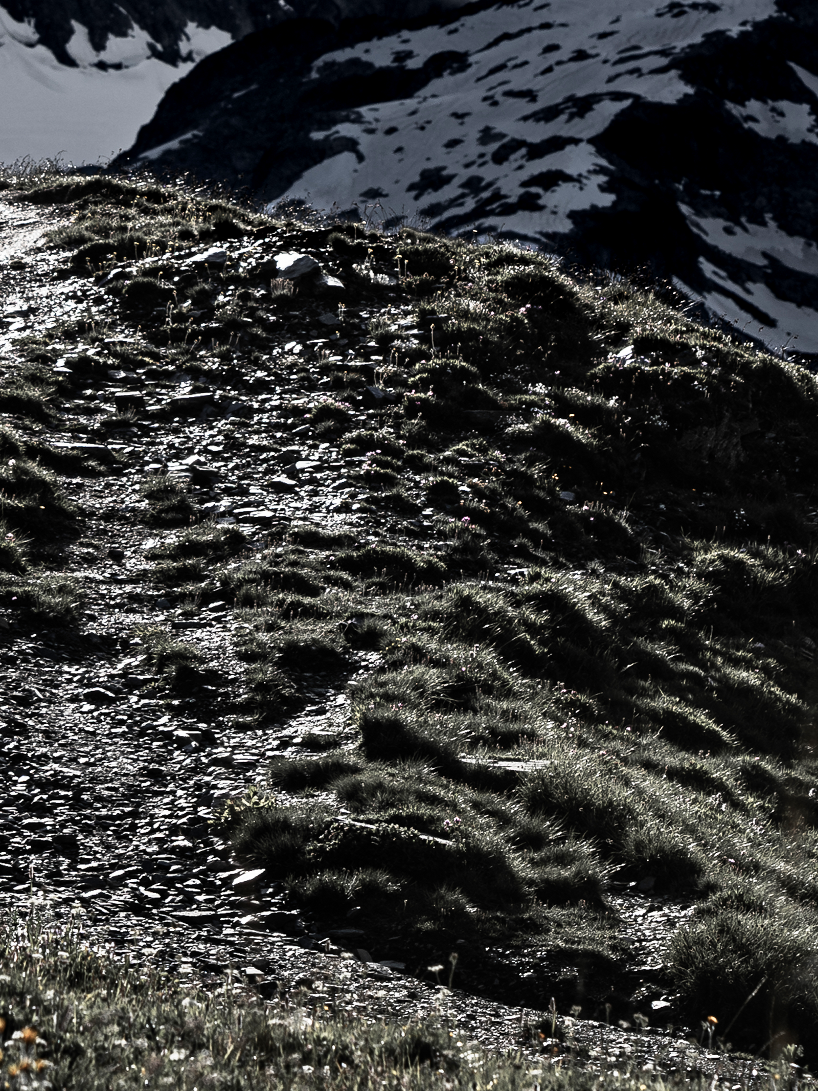 Trail Running