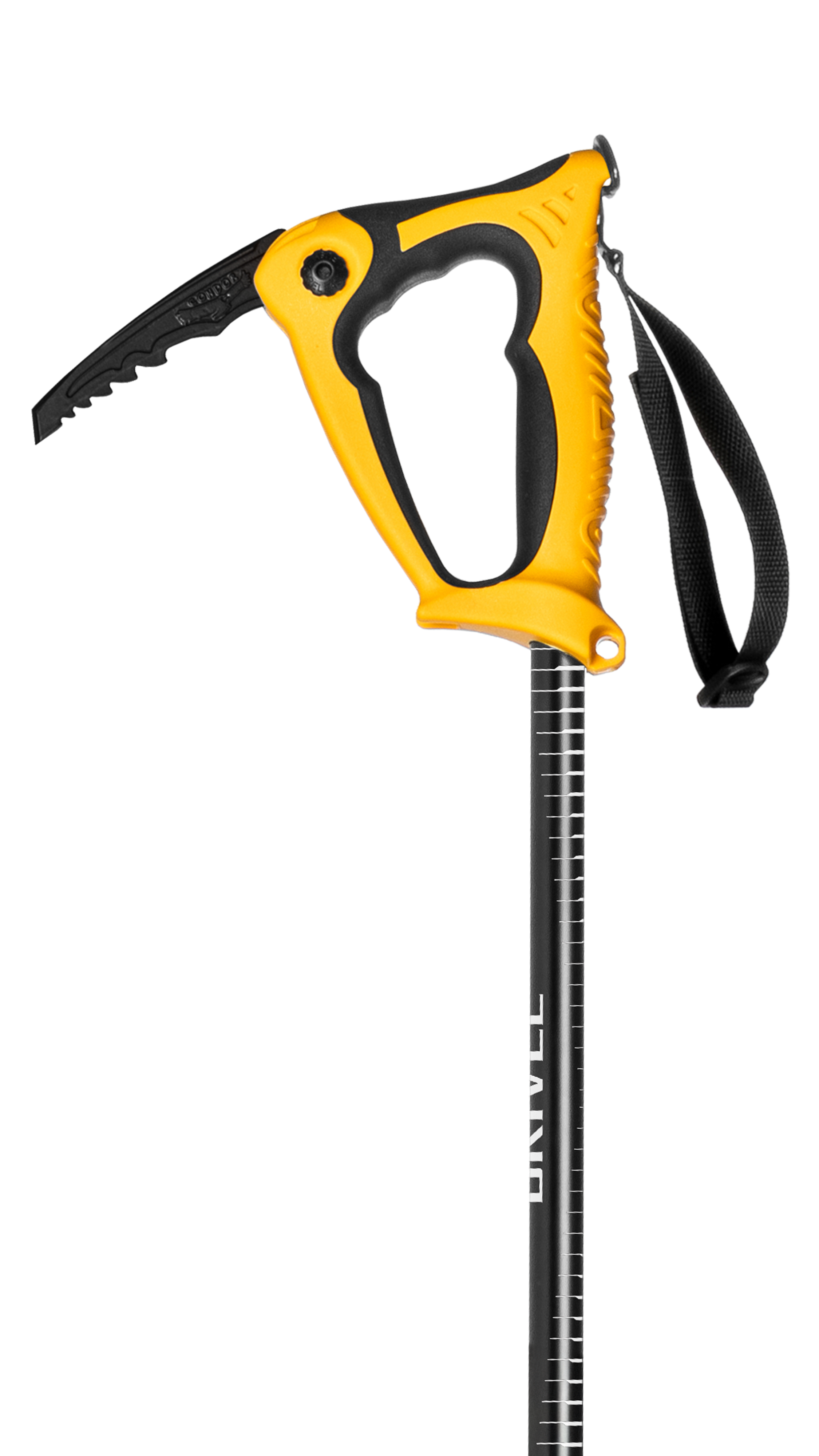 Condor Evo Alpine 2