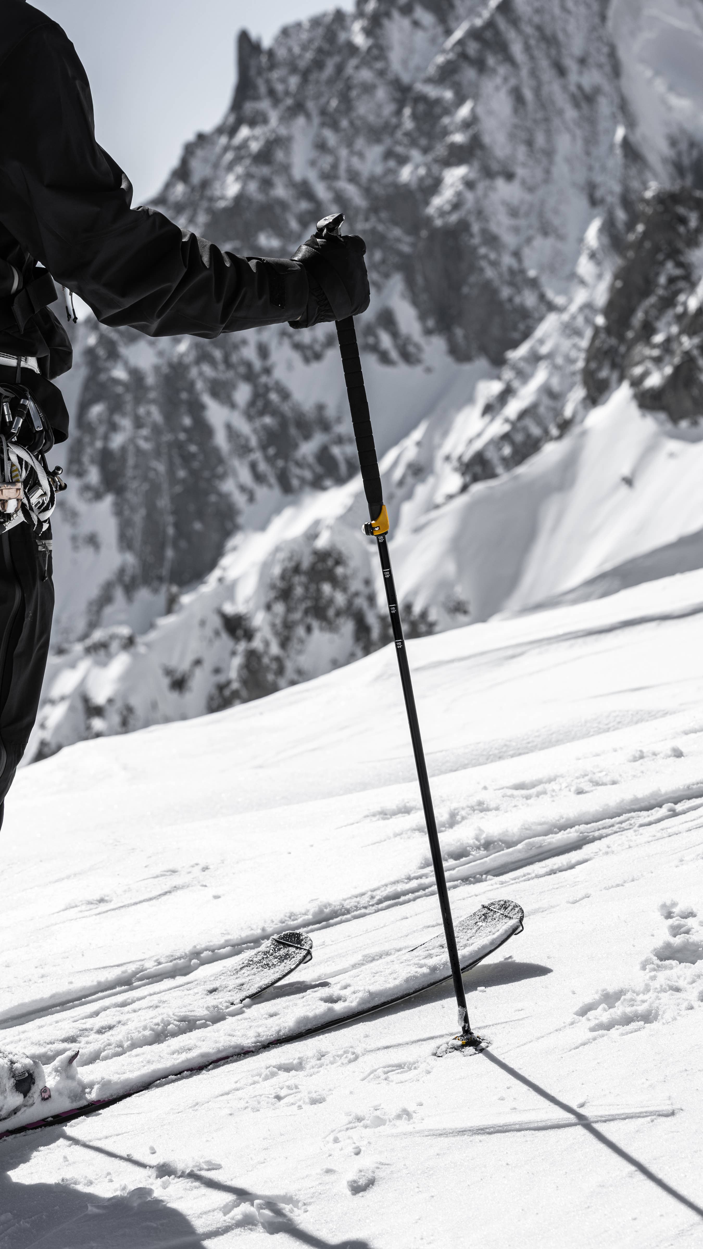 Ski Tour Vario