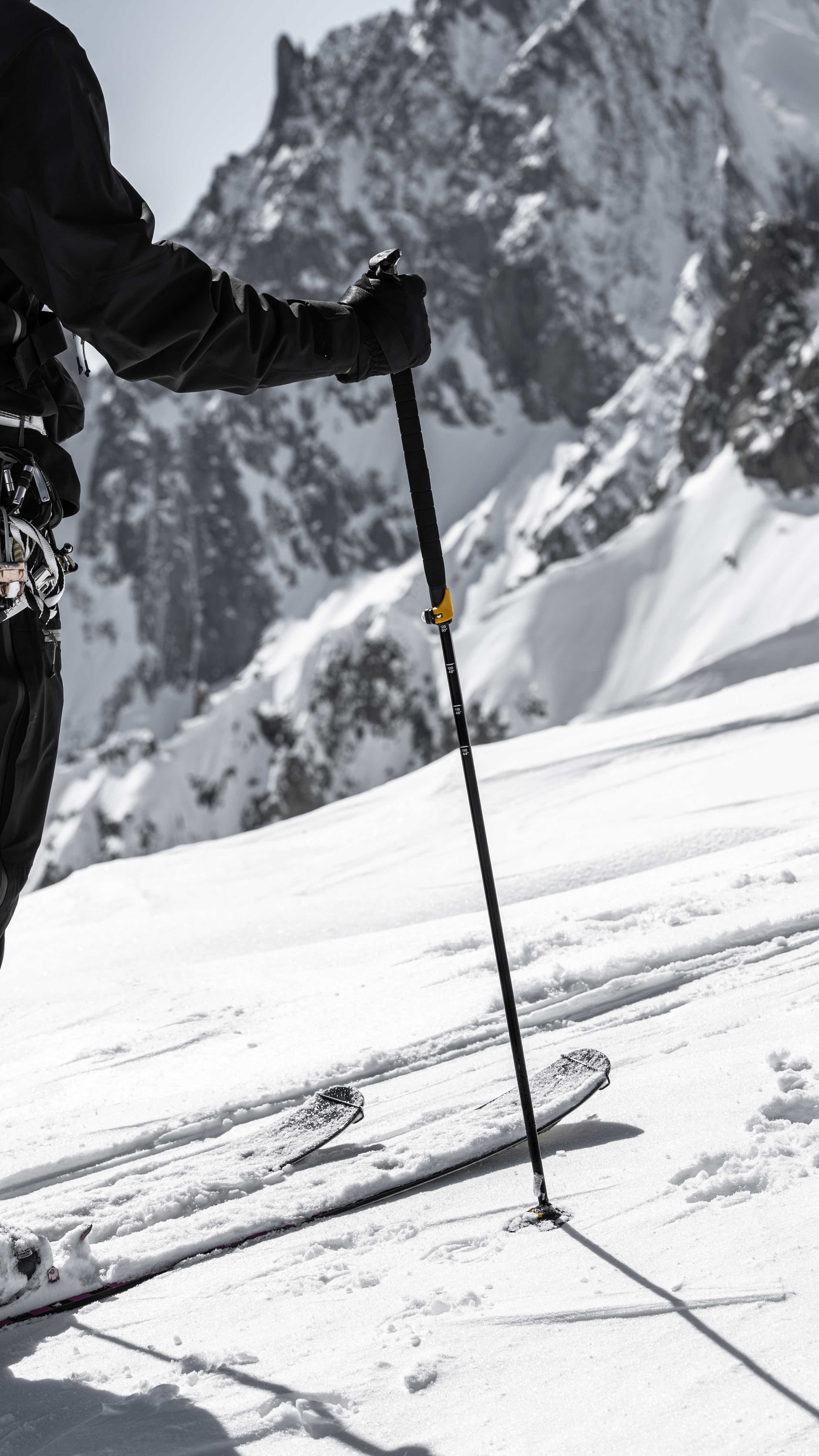 Ski Tour Vario