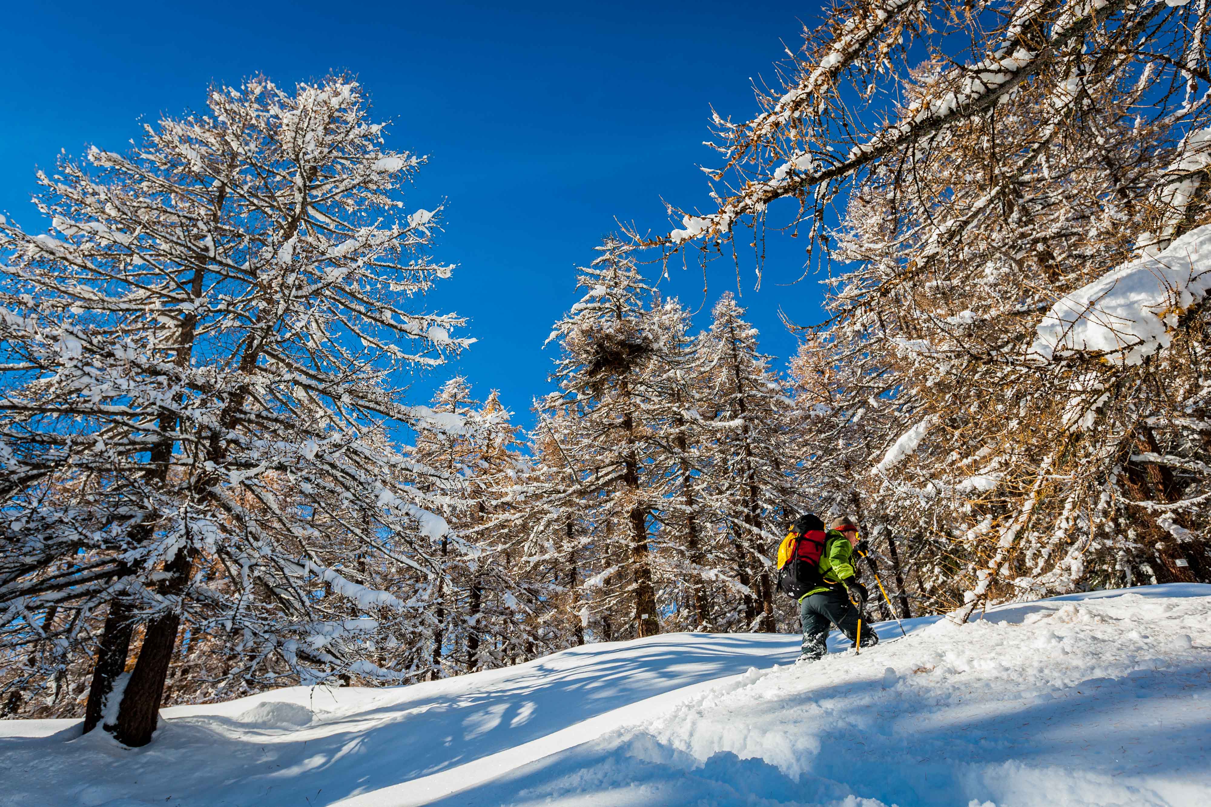 Grivel - Monterosa Snowshoes